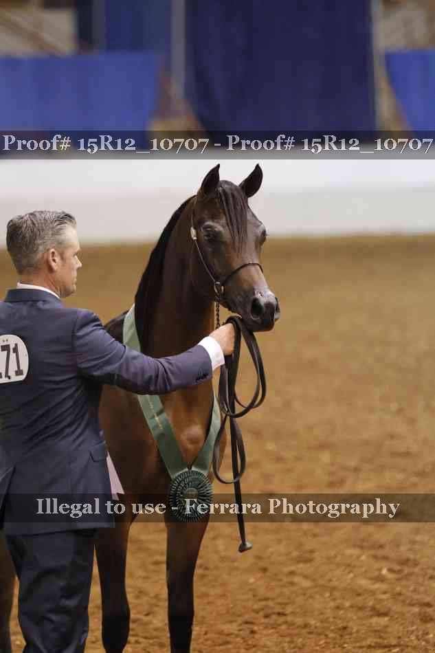 Proof Number 15R12_10707