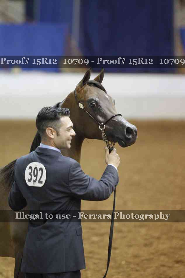 Proof Number 15R12_10709