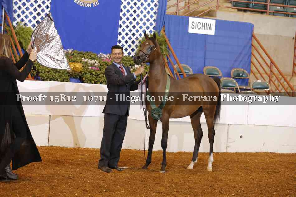 Proof Number 15R12_10711