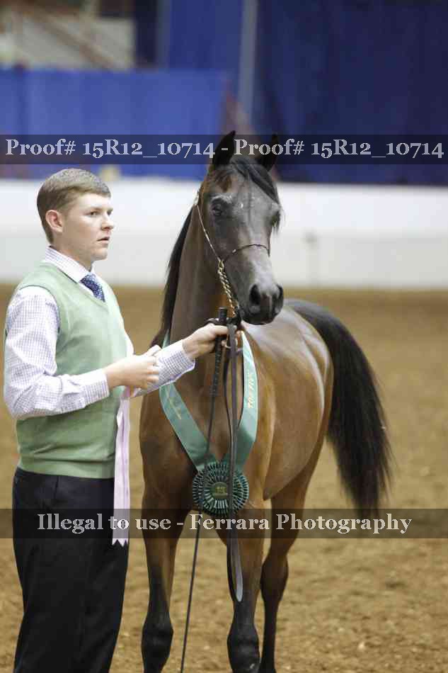 Proof Number 15R12_10714