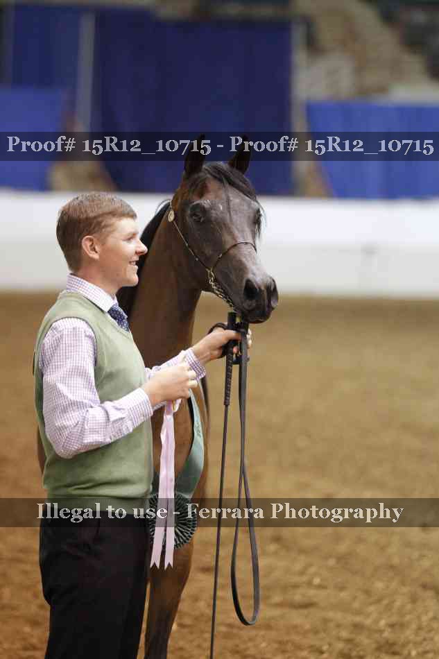 Proof Number 15R12_10715