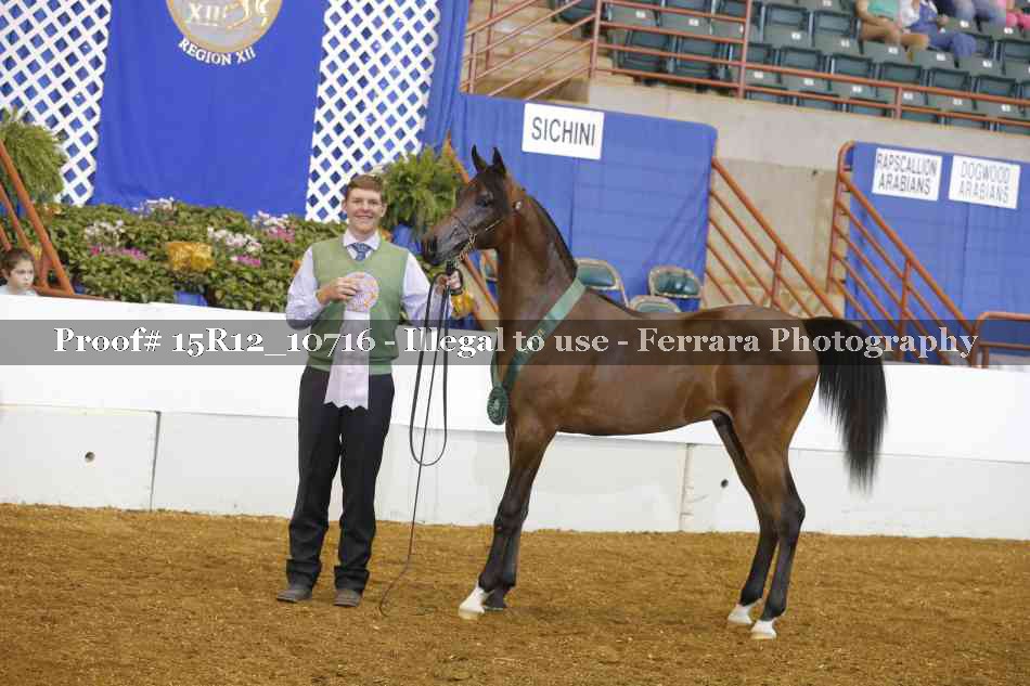 Proof Number 15R12_10716
