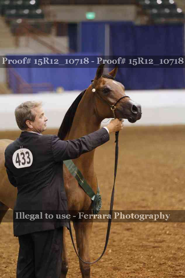 Proof Number 15R12_10718