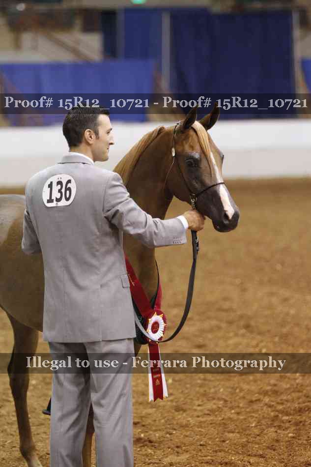 Proof Number 15R12_10721