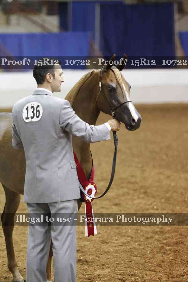 Proof Number 15R12_10722