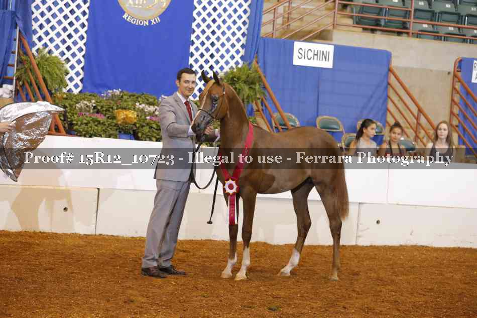 Proof Number 15R12_10723
