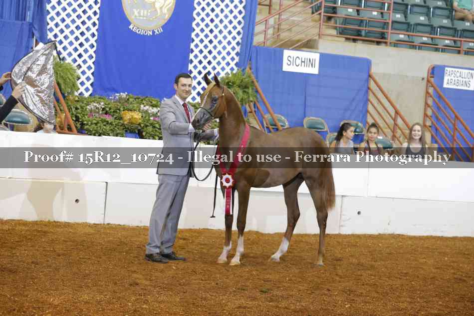 Proof Number 15R12_10724