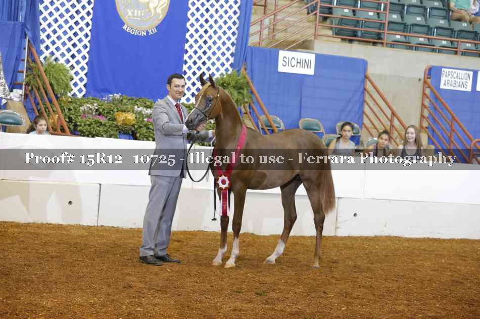 Proof Number 15R12_10725