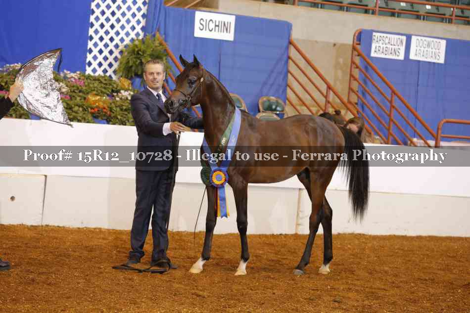 Proof Number 15R12_10728