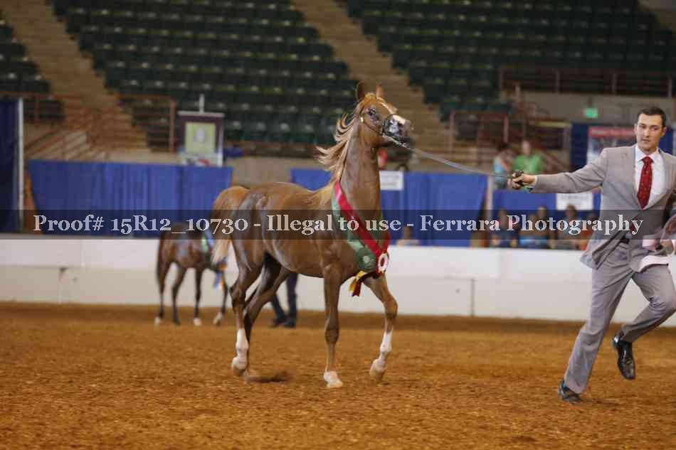 Proof Number 15R12_10730