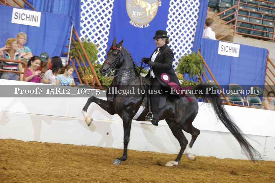 Proof Number 15R12_10775