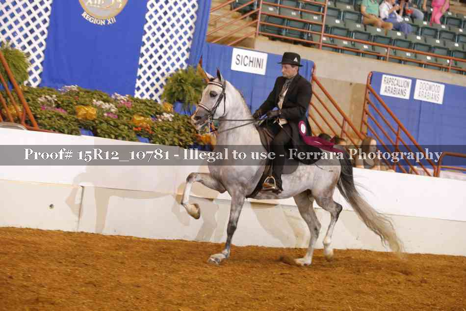 Proof Number 15R12_10781