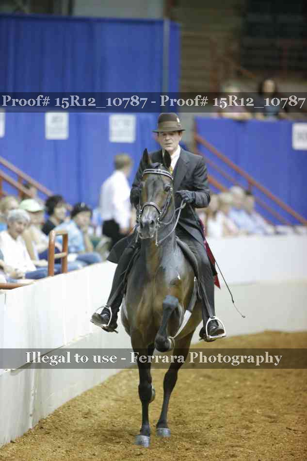 Proof Number 15R12_10787