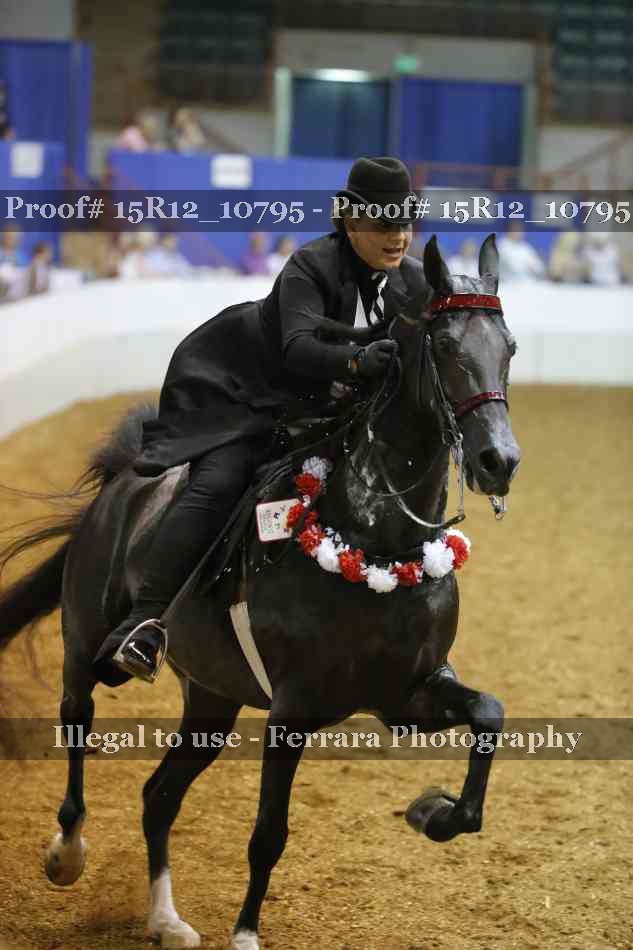 Proof Number 15R12_10795