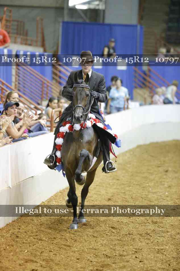 Proof Number 15R12_10797
