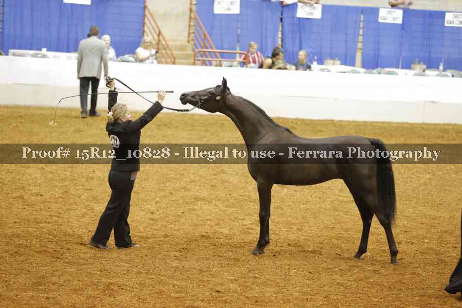 Proof Number 15R12_10828