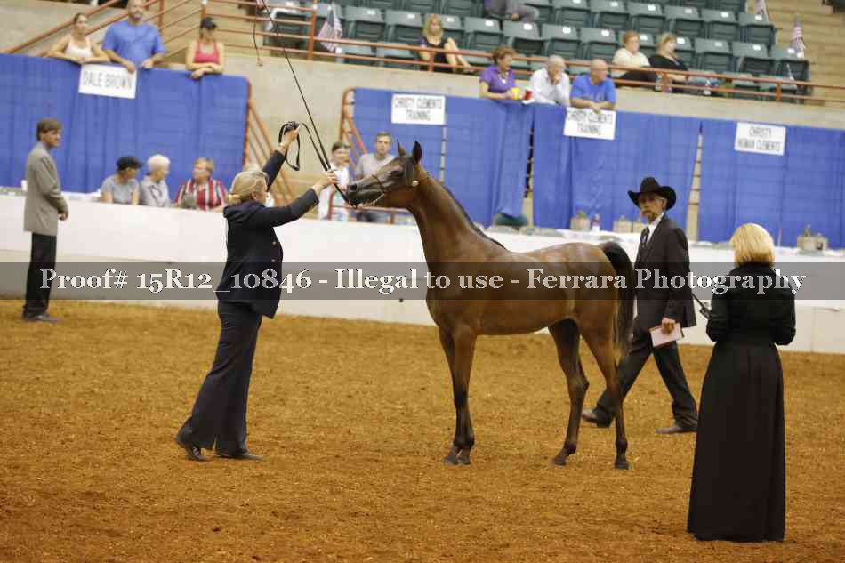 Proof Number 15R12_10846