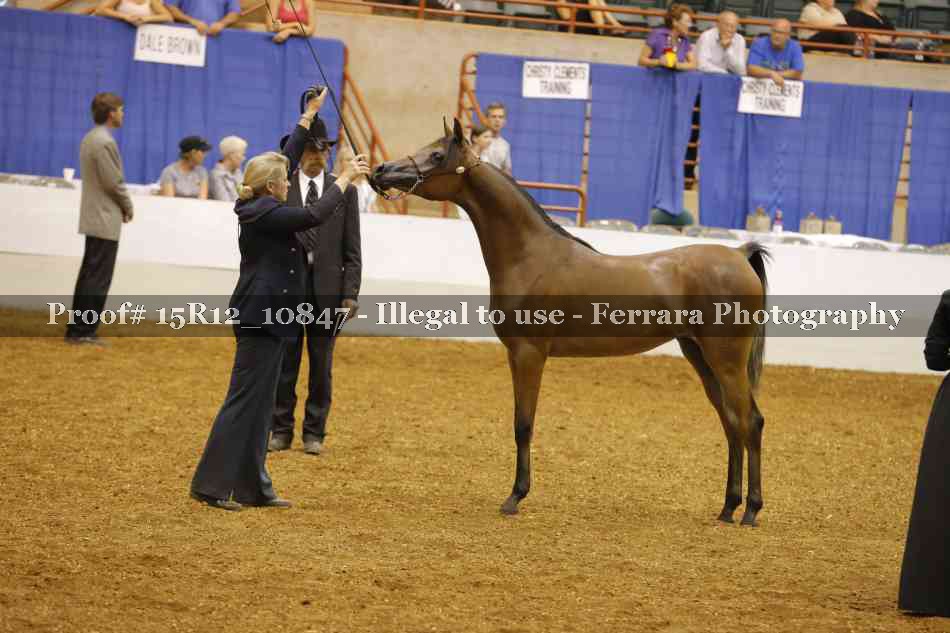 Proof Number 15R12_10847
