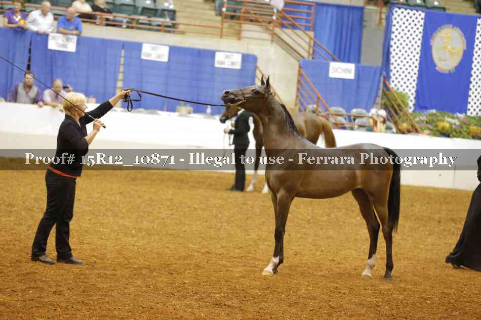 Proof Number 15R12_10871