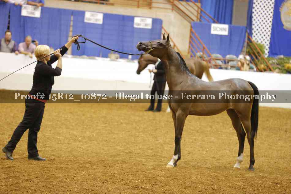 Proof Number 15R12_10872