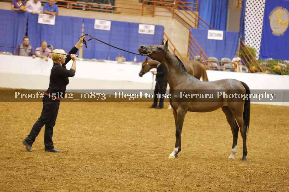 Proof Number 15R12_10873