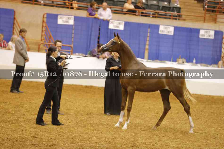 Proof Number 15R12_10876