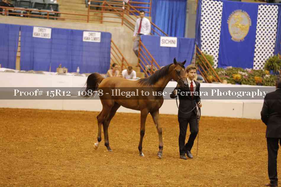 Proof Number 15R12_10878