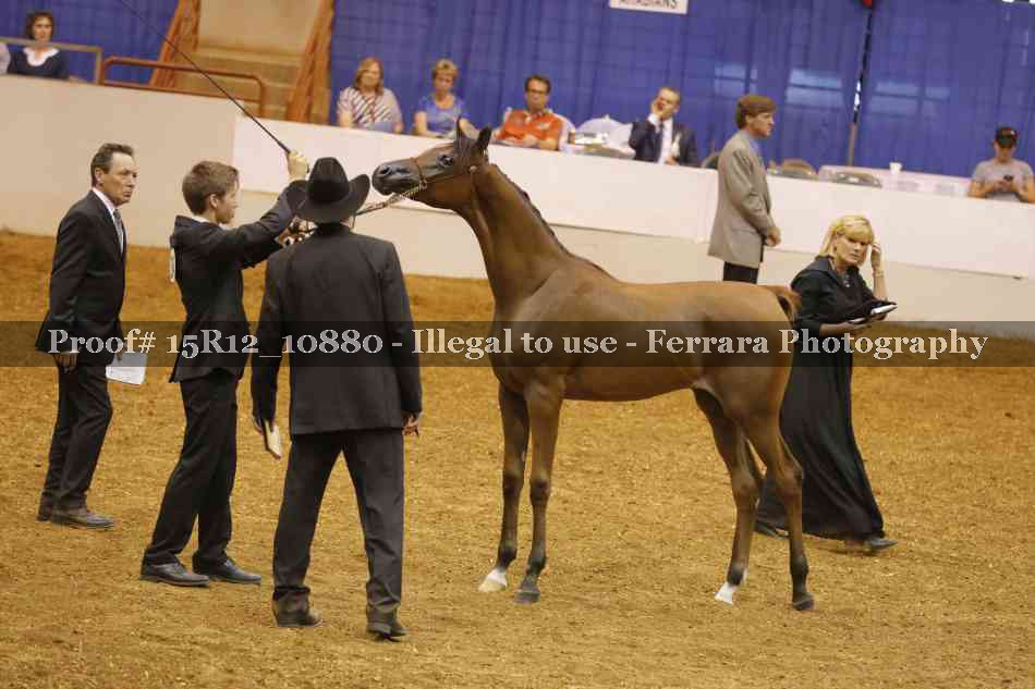 Proof Number 15R12_10880
