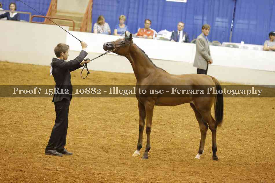 Proof Number 15R12_10882