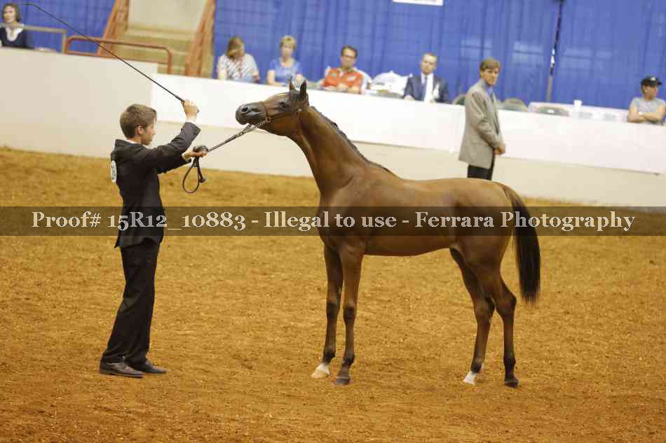Proof Number 15R12_10883