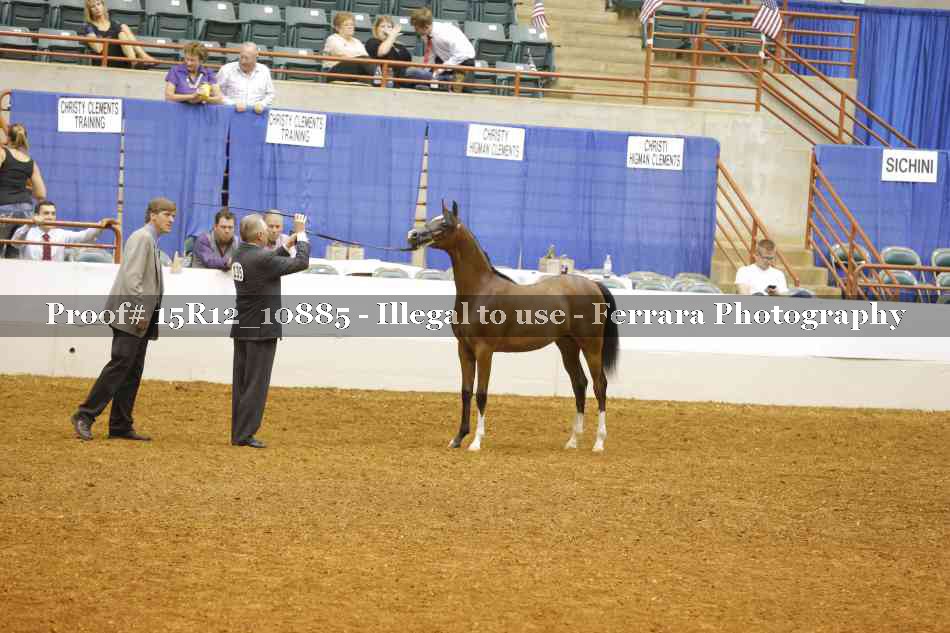 Proof Number 15R12_10885