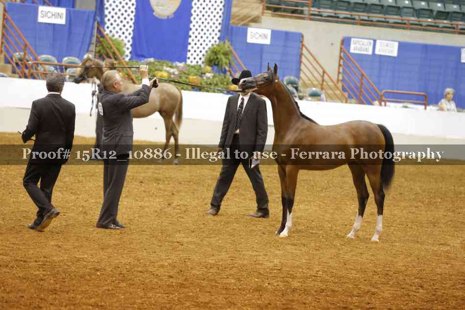 Proof Number 15R12_10886