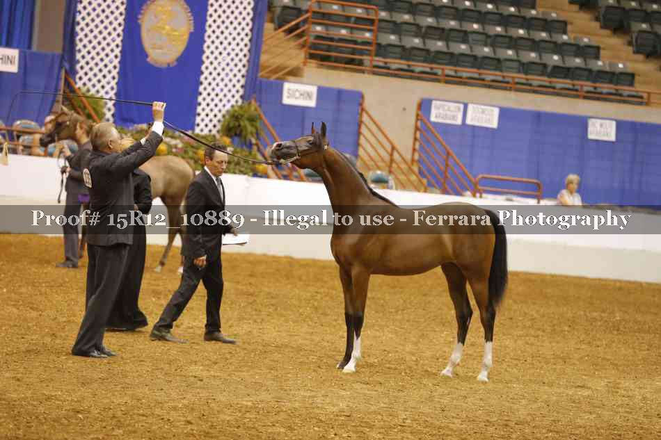 Proof Number 15R12_10889