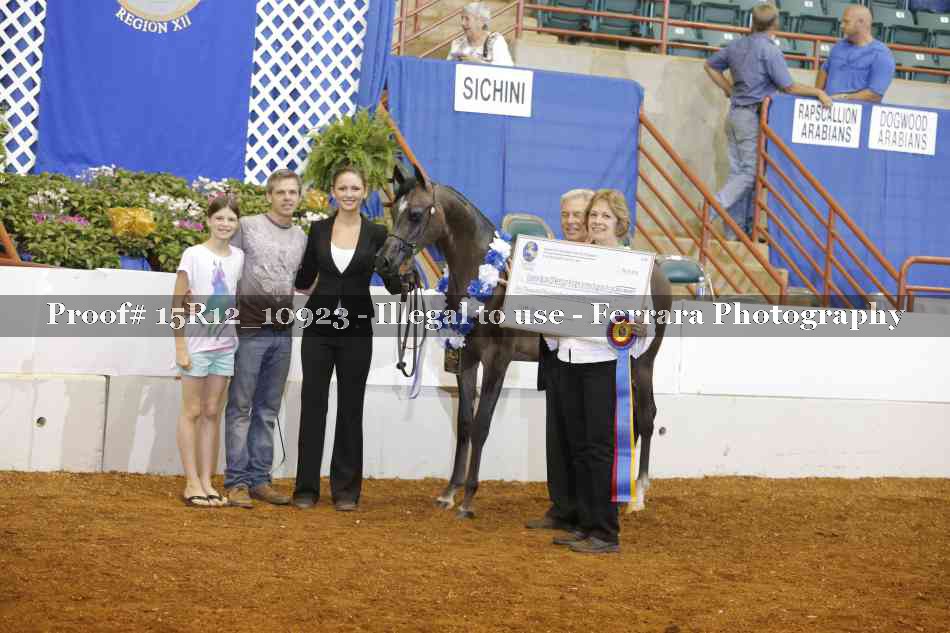 Proof Number 15R12_10923