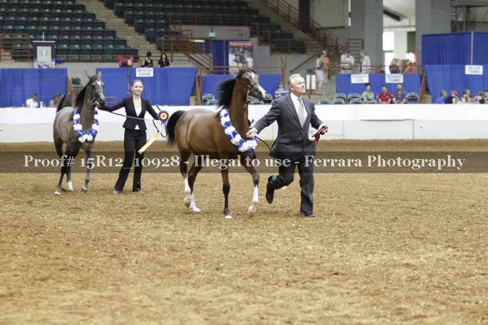 Proof Number 15R12_10928