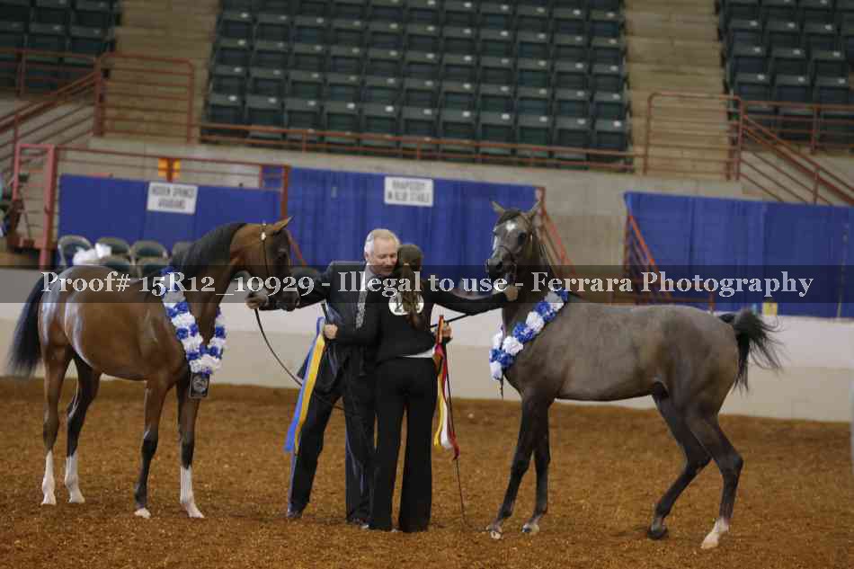 Proof Number 15R12_10929