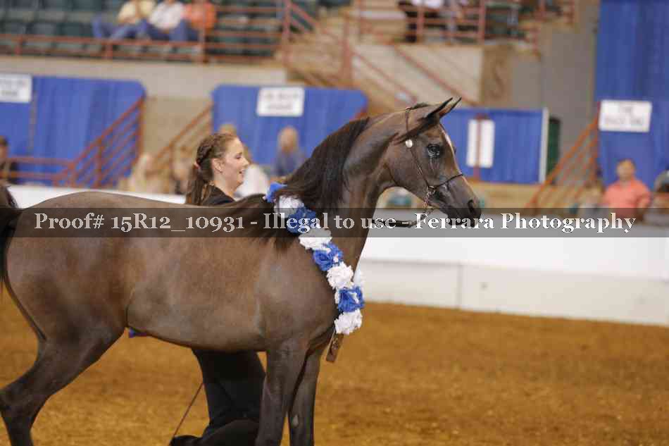 Proof Number 15R12_10931
