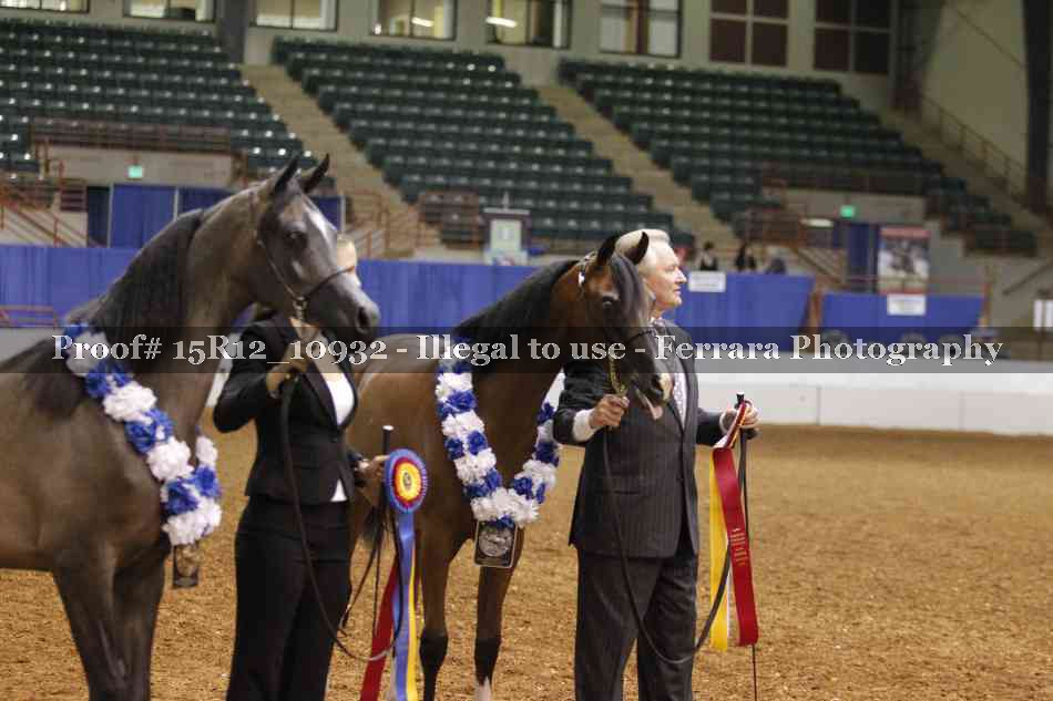 Proof Number 15R12_10932