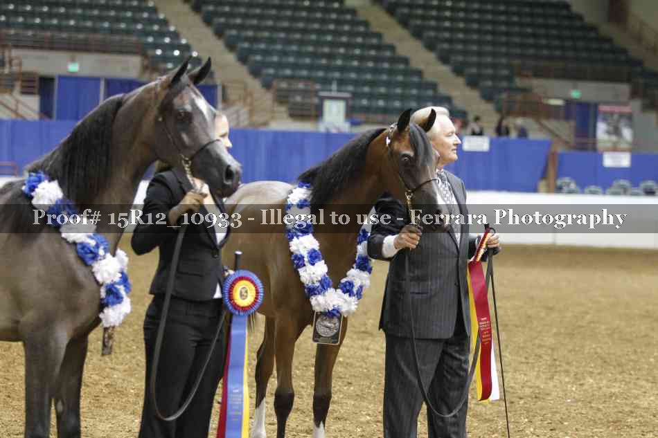 Proof Number 15R12_10933