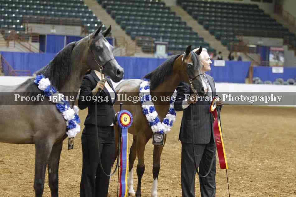 Proof Number 15R12_10934