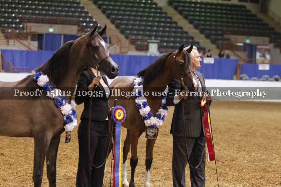 Proof Number 15R12_10935