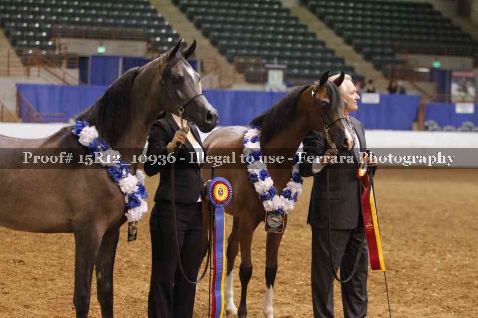 Proof Number 15R12_10936