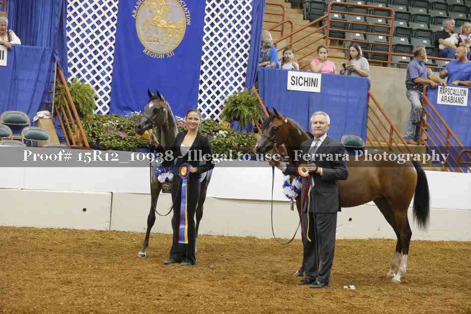 Proof Number 15R12_10938