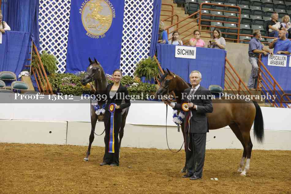 Proof Number 15R12_10939