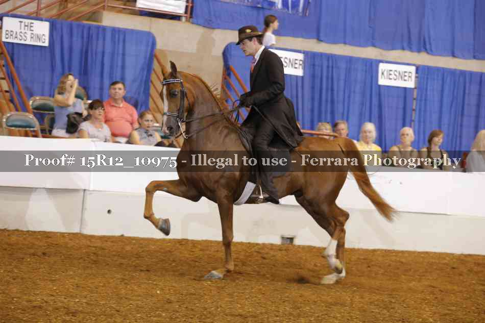 Proof Number 15R12_10975