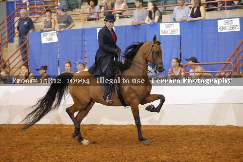 Proof Number 15R12_10994