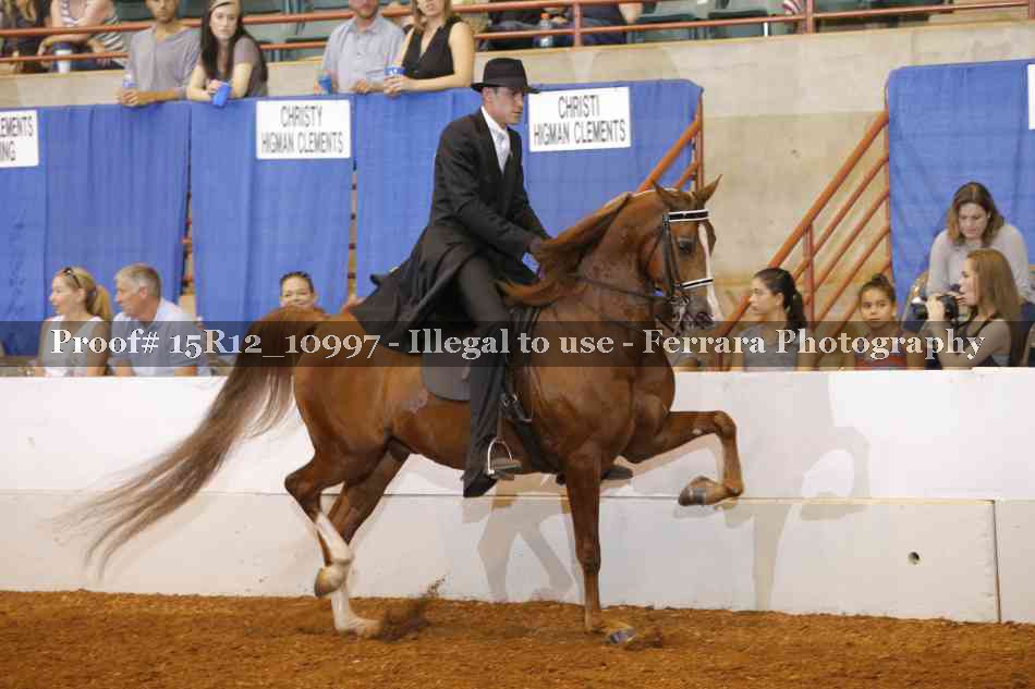 Proof Number 15R12_10997