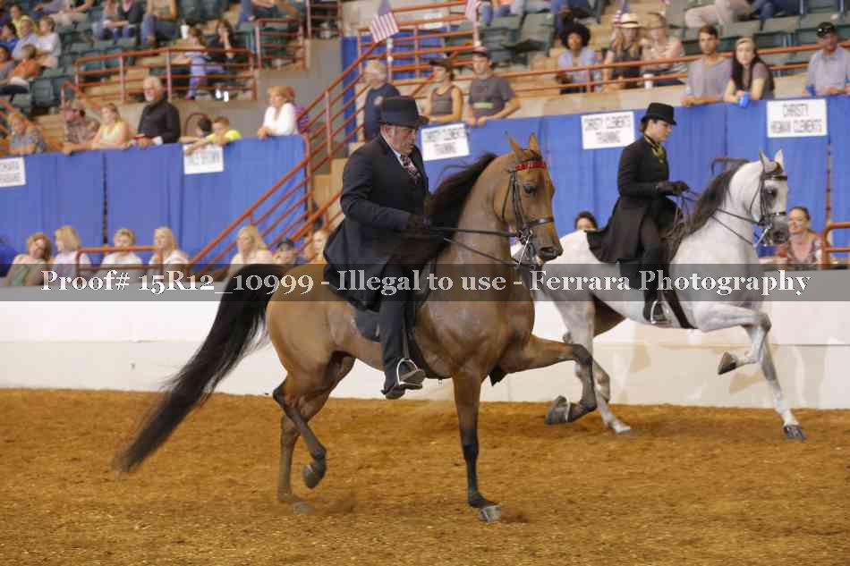 Proof Number 15R12_10999