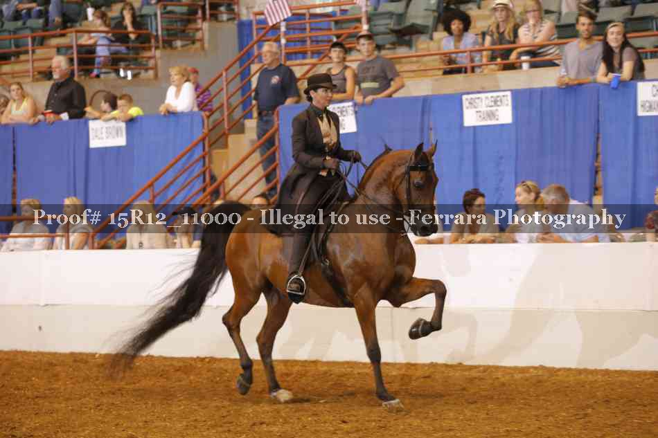 Proof Number 15R12_11000
