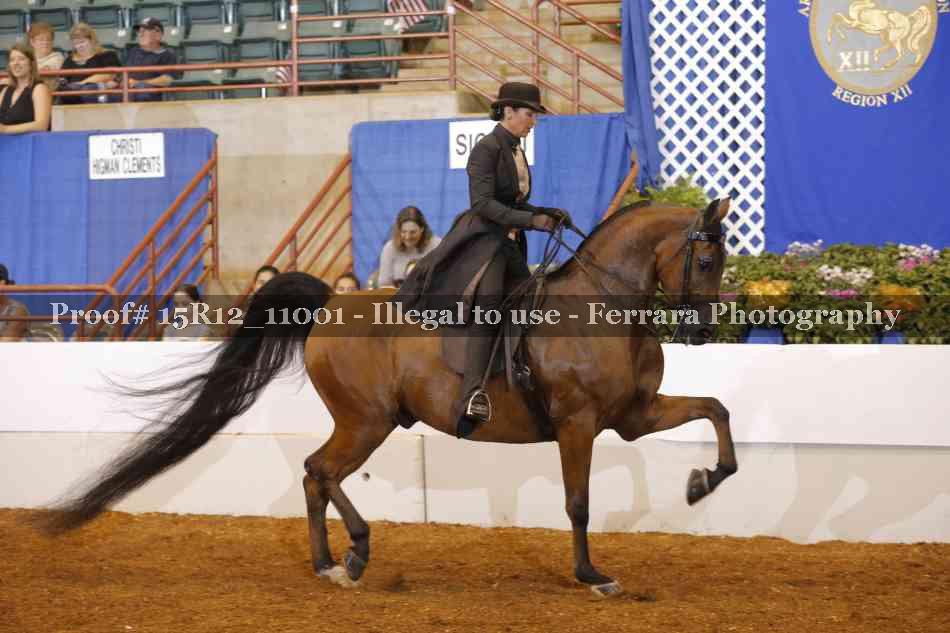 Proof Number 15R12_11001